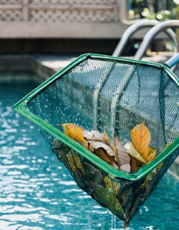 Clavis - Swimming Pool Services