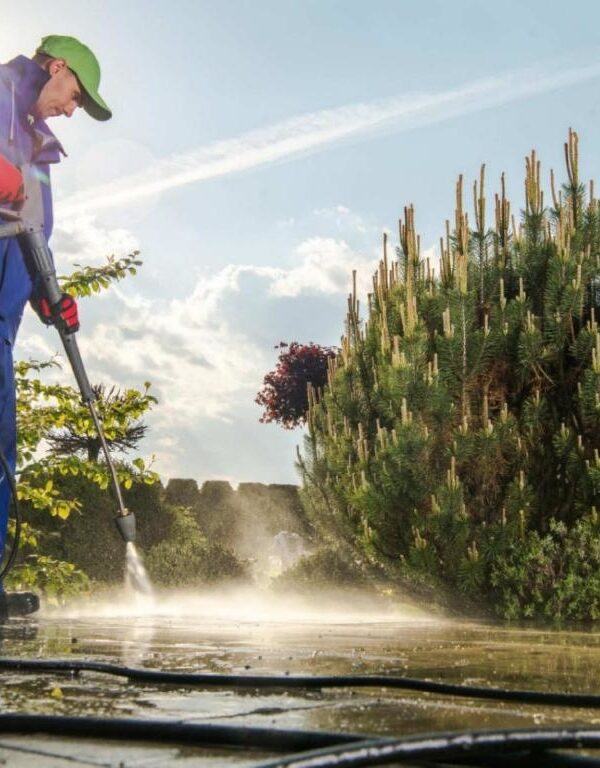 Clavis - Garden Services