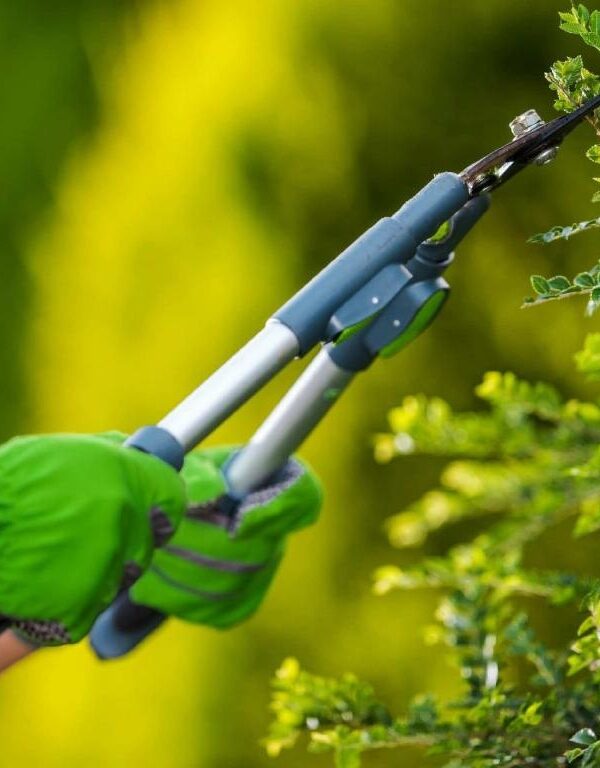 Clavis - Garden Services