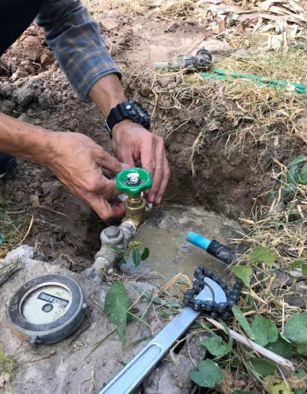 Clavis - Garden Services